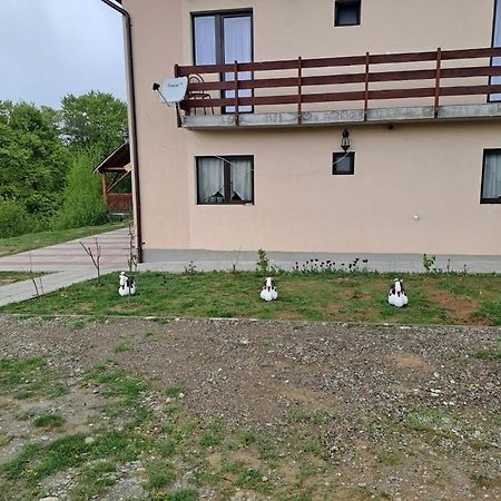 Conacul Elenei Villa Poiana Mărului Екстериор снимка