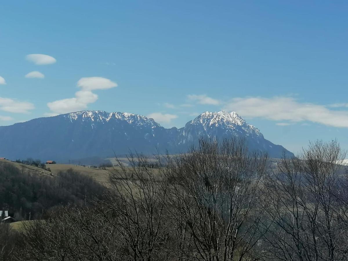 Conacul Elenei Villa Poiana Mărului Екстериор снимка