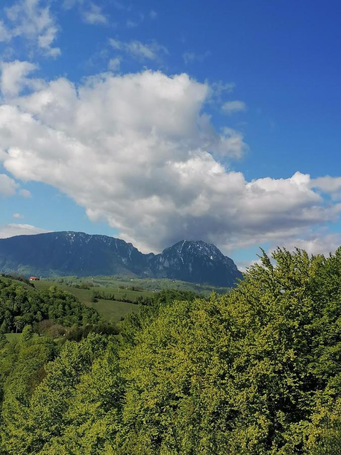 Conacul Elenei Villa Poiana Mărului Екстериор снимка