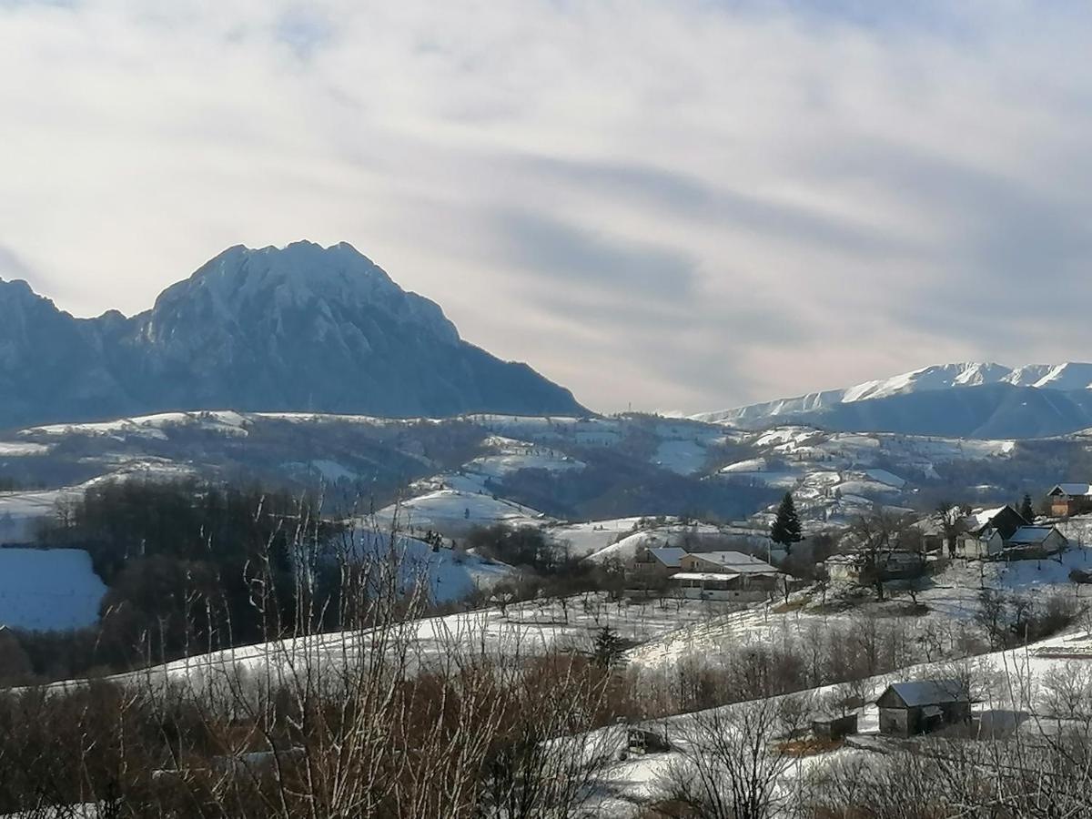 Conacul Elenei Villa Poiana Mărului Екстериор снимка