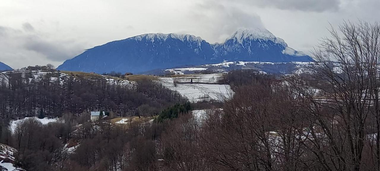 Conacul Elenei Villa Poiana Mărului Екстериор снимка