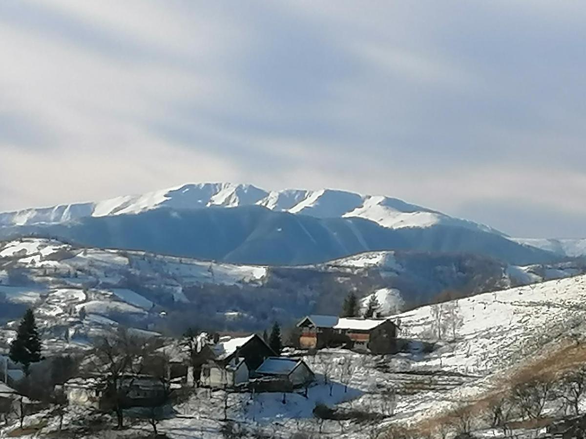 Conacul Elenei Villa Poiana Mărului Екстериор снимка