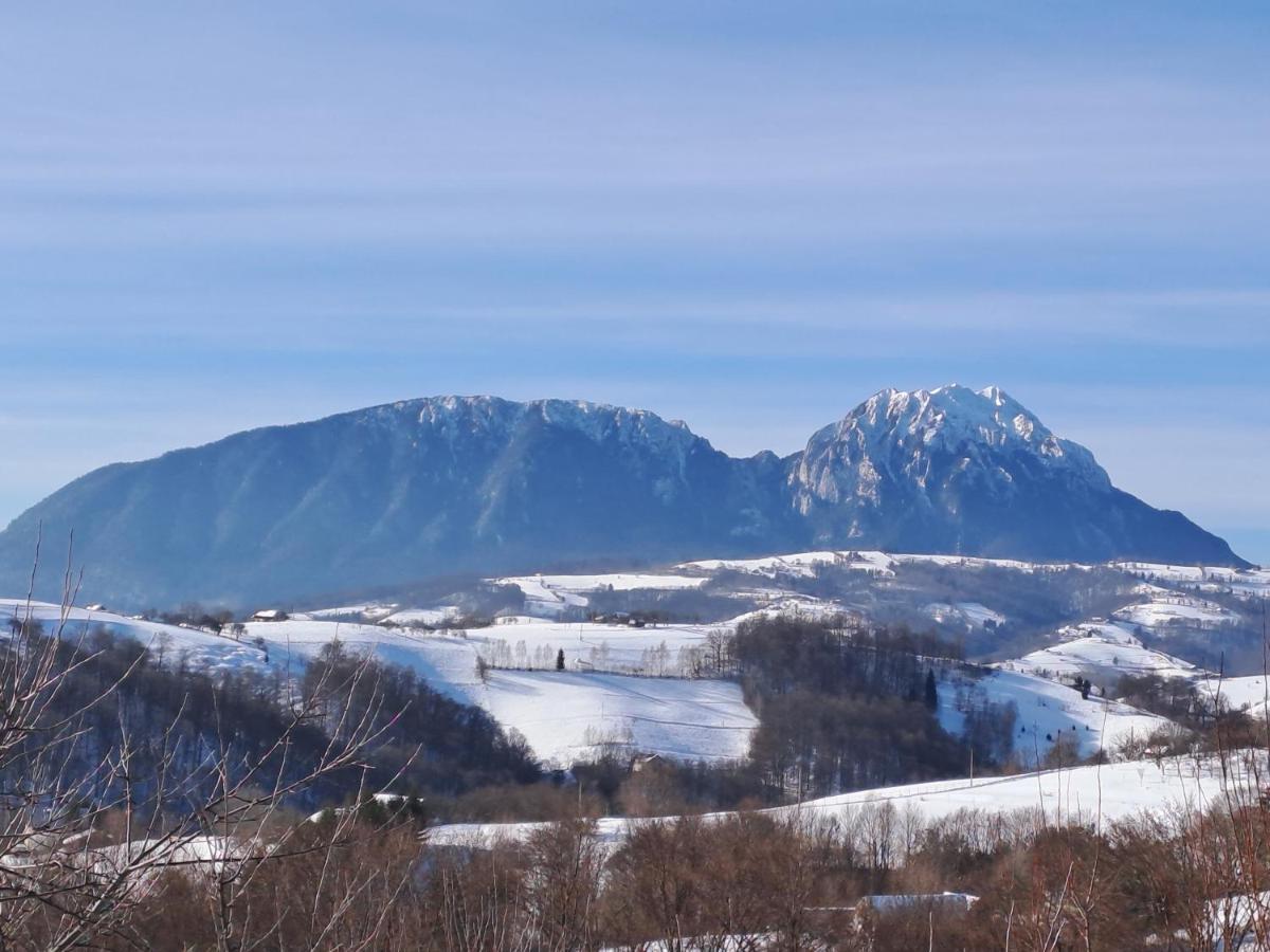 Conacul Elenei Villa Poiana Mărului Екстериор снимка