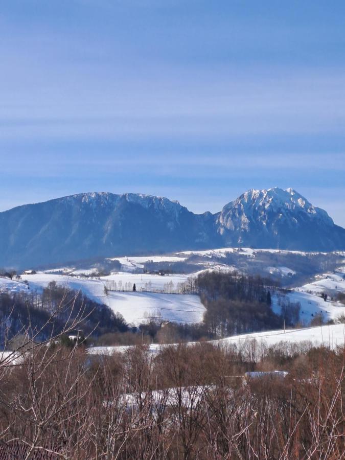 Conacul Elenei Villa Poiana Mărului Екстериор снимка