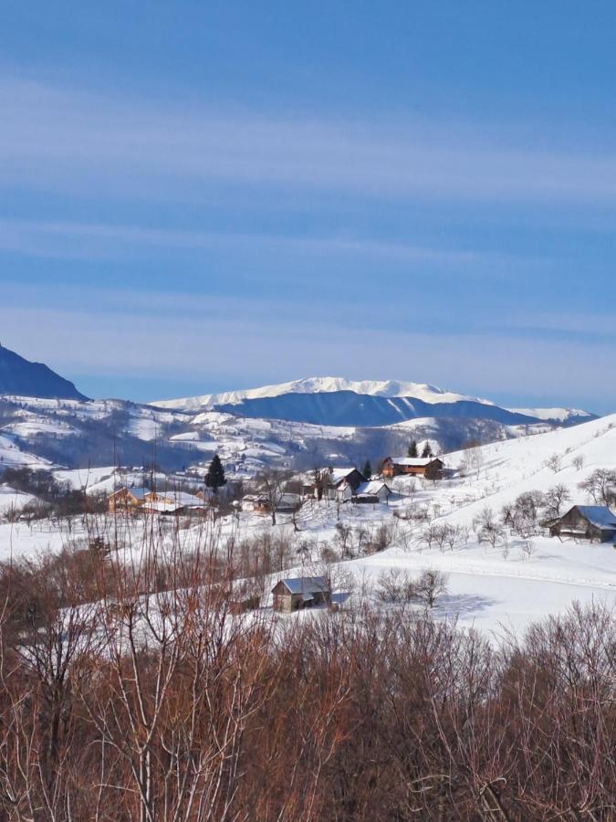 Conacul Elenei Villa Poiana Mărului Екстериор снимка